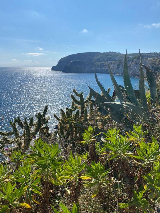 B&B Lodge Dell'Ospite Ischia Casamicciola Terme Extérieur photo