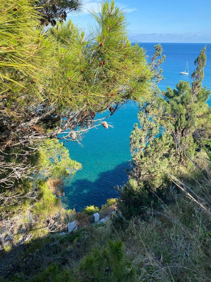 B&B Lodge Dell'Ospite Ischia Casamicciola Terme Extérieur photo